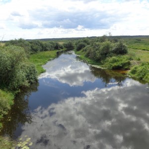 река Корешовка возле ДП "Лесная капель"